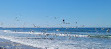 Torrey Pines State Beach