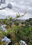 Presidio Park