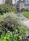 Dubh Linn Garden