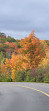 P5 Gatineau Park