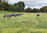 Malvern Valley Public Golf Course