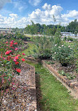 Wilson Rose Garden