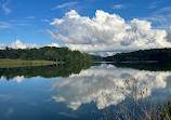 Kingfisher Overlook