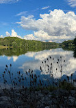 Kingfisher Overlook