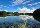 Kingfisher Overlook