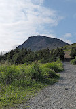 Ballenger Creek Trail Parking