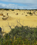 Pinnacles Visitor Centre