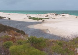 Hill River Estuary