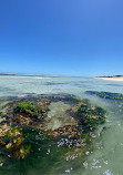 Yanchep Lagoon