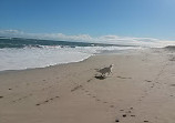 Yanchep Beach