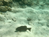 Siete Pecados Marine Park