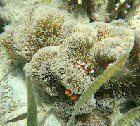 Siete Pecados Marine Park