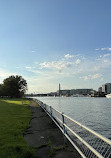 Hains Point Picnic Area