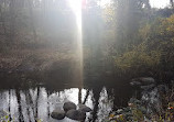 Brunette Fraser Regional Greenway