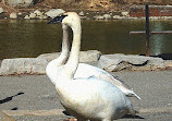 Waterfront Trail