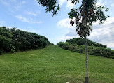 Great Lakes Waterfront Trail