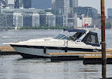 Toronto Island Marina