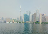 Toronto Island Marina