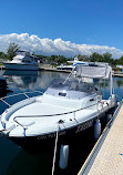 Freedom Boat Club Toronto