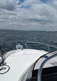 Freedom Boat Club Toronto