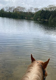 Lynford Water