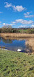 Herrington Country Park