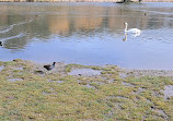 Herrington Country Park