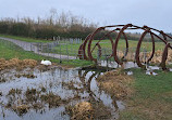 Herrington Country Park