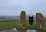 Herrington Country Park