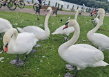 Herrington Country Park