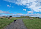 Herrington Country Park