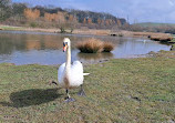 Herrington Country Park