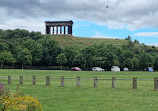 Herrington Country Park