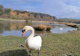 Herrington Country Park