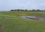 Herrington Country Park