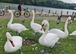 Herrington Country Park