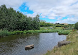 Herrington Country Park