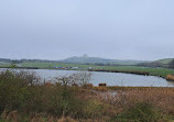 Herrington Country Park