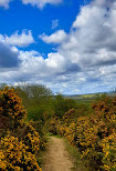 Crowtrees Local Nature Reserve