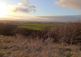 Crowtrees Local Nature Reserve