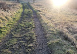 Crowtrees Local Nature Reserve