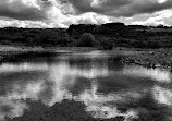 Crowtrees Local Nature Reserve