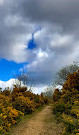 Crowtrees Local Nature Reserve