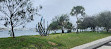 Broadwater Parklands