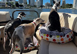 Broadwater Parklands Public Boat Ramp