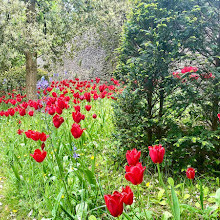 Arundel gardens