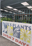 Pauls Plants