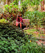 Tamborine Mountain Regional Botanic Gardens