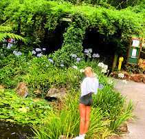 Tamborine Mountain Regional Botanic Gardens