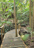 Tamborine Mountain Regional Botanic Gardens